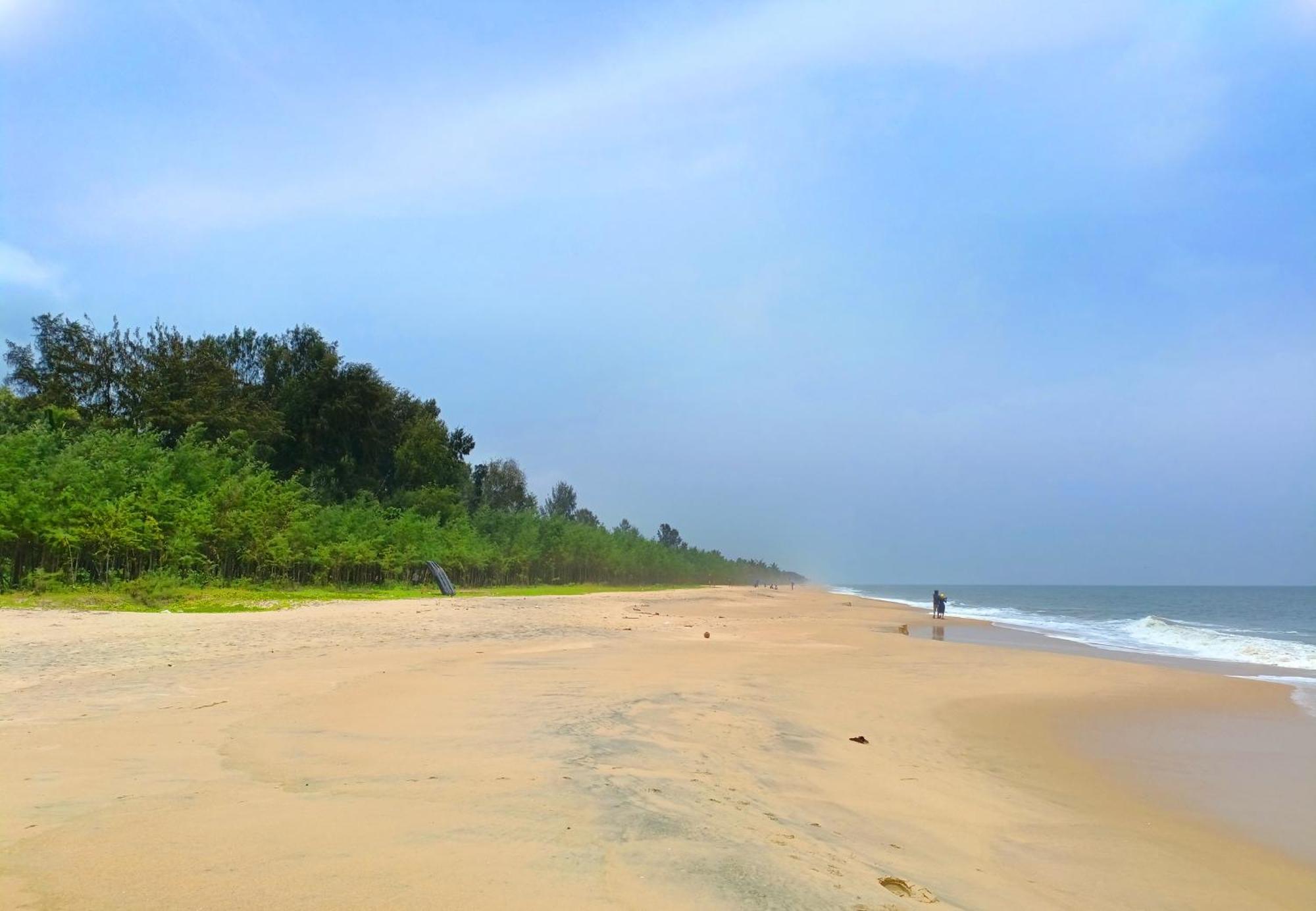 Marari Beach Cleetus Homestay Mararikulam Kültér fotó
